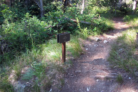 The Loop Campsite sign along the Valley Trail