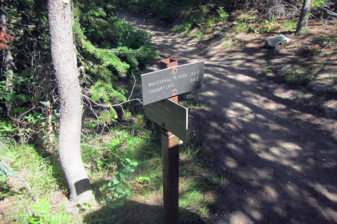 Beaver Creek Junction sign