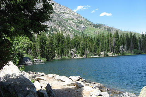 Trail next to the Jenny Lake Trail