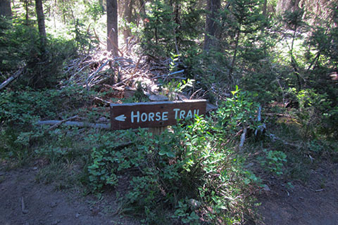 Horse Trail leaving the Jenny Lake Trail