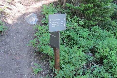 junction sign with the Boulder Ridge Trail