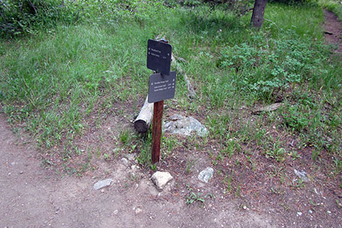 Trail junction with the other end of the Boulder Ridge Trail and the Connector Trail