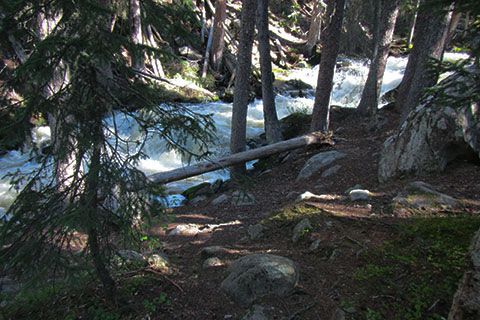 One of the first views of Onahu Creek . The creek is filled with whitewater tumbling over the rocks..