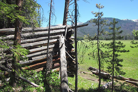 Ruins of log structure on the west side of Big Meadow