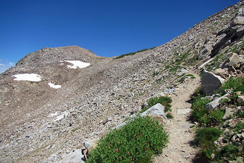 Trail descending from the divide into the North Fork of Cascade Canyon