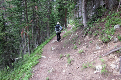 HIker moves across a sloping trail in trees