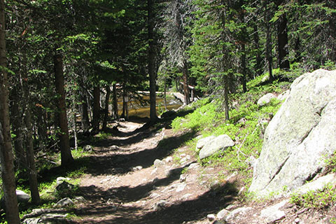 trail leading down to Hunters Creek