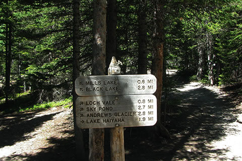 Glacier Gorge trail junction
