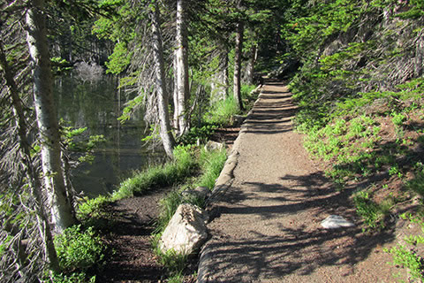 A raised and level path along The Loch