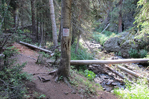 Long Meadows Trail Junction, a bridge crosses Timber Creek.