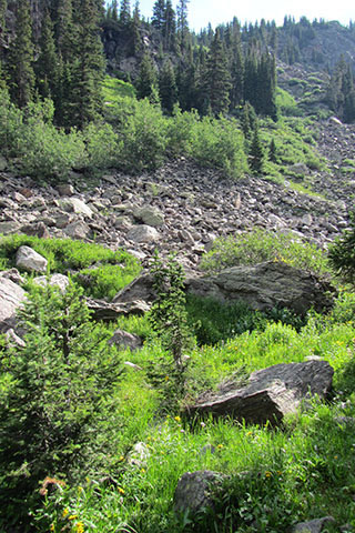 the rockslide close to the rockslide backcountry site