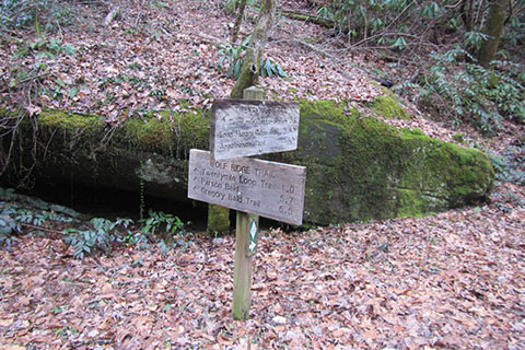 Junction with the Wolf Ridge Trail. Distance signs for each trail.