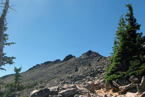 slope above treeline