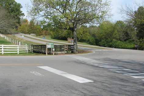 crossing at Lower Marchant Drive
