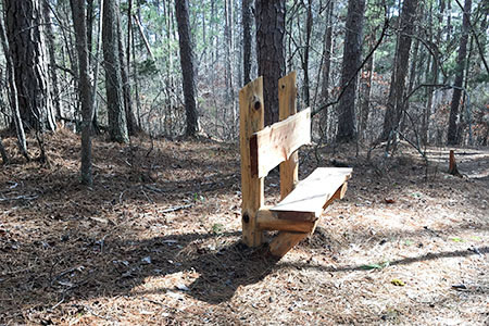 Scout project bench on Forked Pine Trail