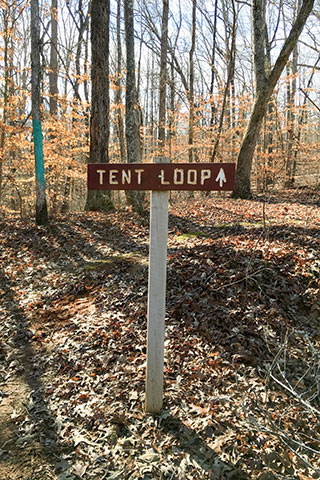 Tent Loop Trail directional sign