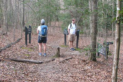 North Paw Paw Trail Junction
