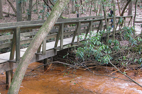 A sturdy bridge over Fall Creek