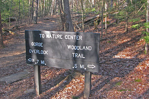 Woodland Trail - Overlook trail Junction sign